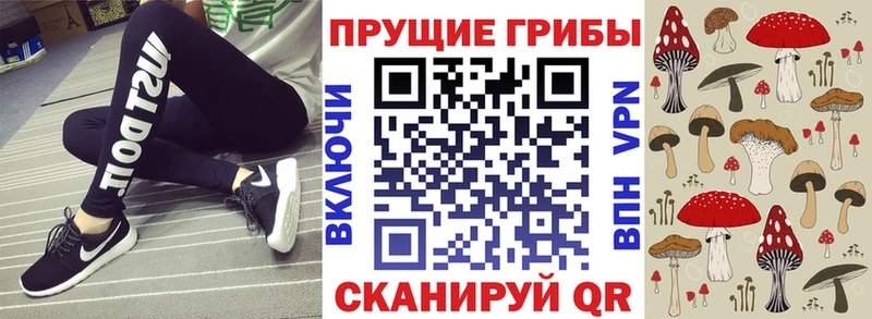 магазин    Корсаков  Галлюциногенные грибы прущие грибы 